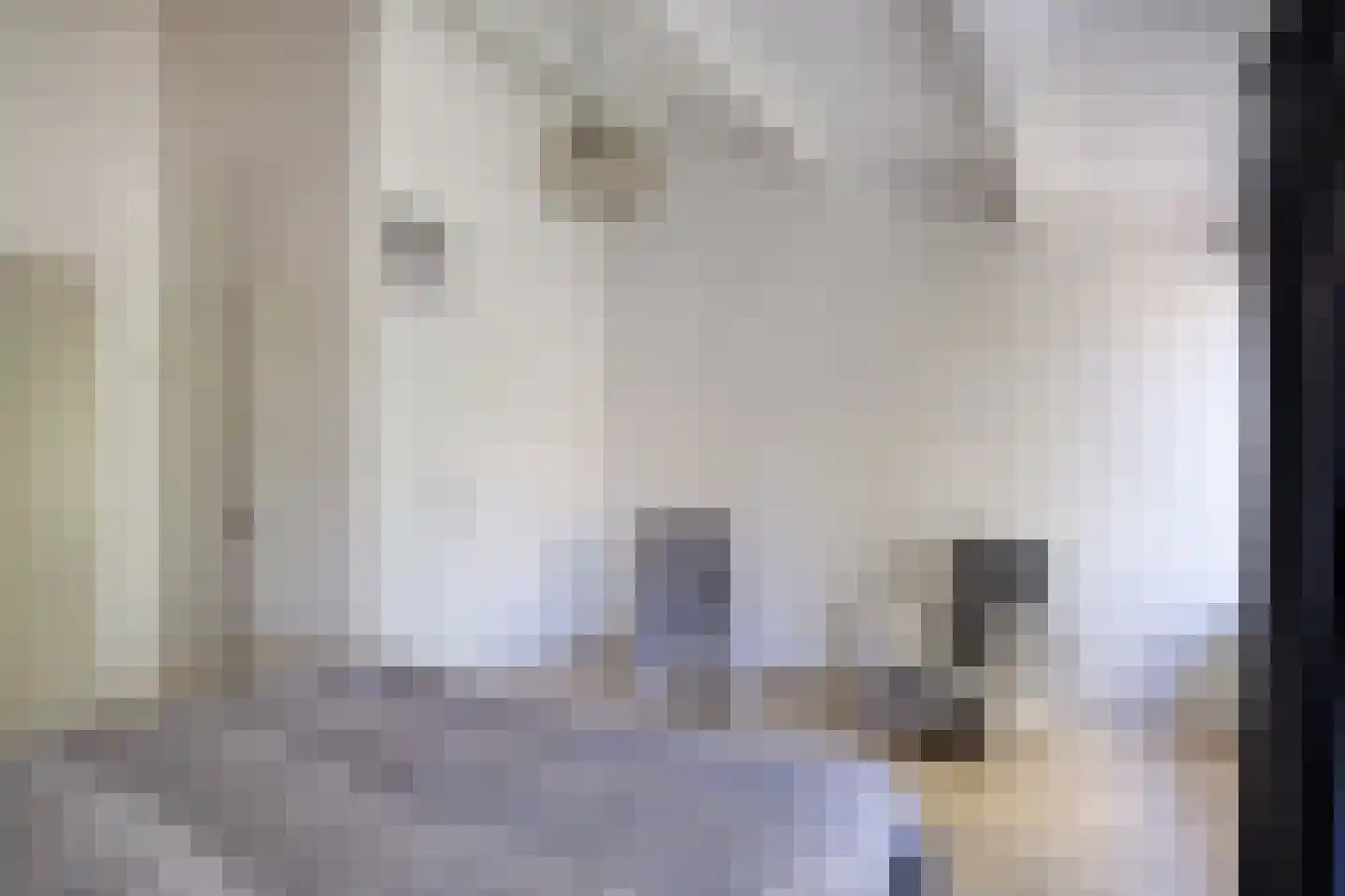 Wethouder van Eschstraat 99 Oss thumbnail 17
