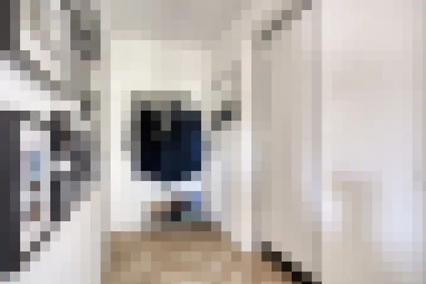 Wethouder van Eschstraat 99 Oss thumbnail 22