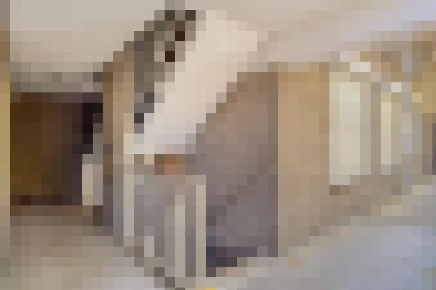 Wethouder van Eschstraat 99 Oss thumbnail 23