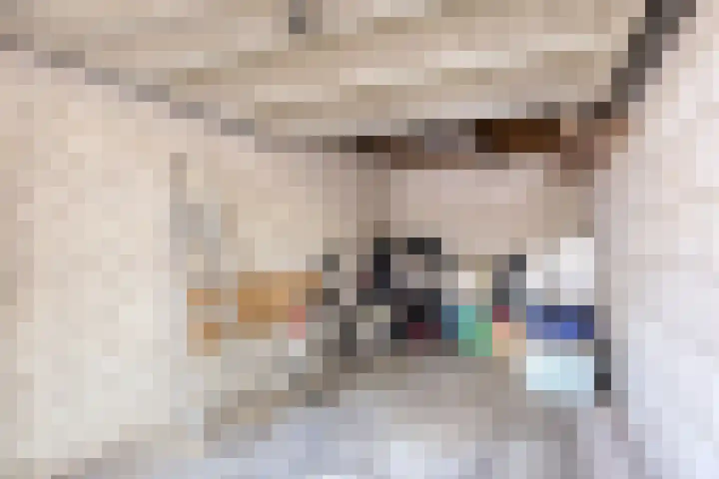 Wethouder van Eschstraat 99 Oss thumbnail 26