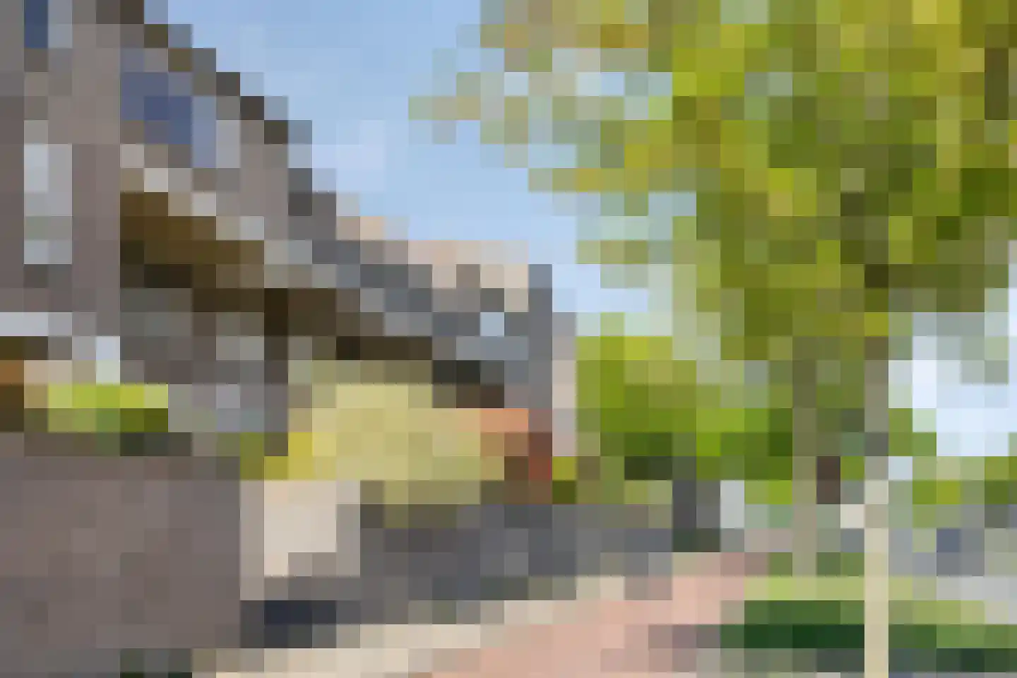 Wethouder van Eschstraat 99 Oss thumbnail 28