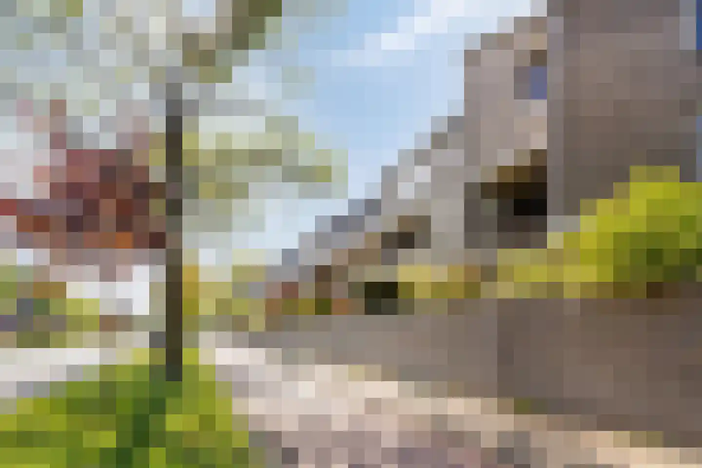 Wethouder van Eschstraat 99 Oss thumbnail 29
