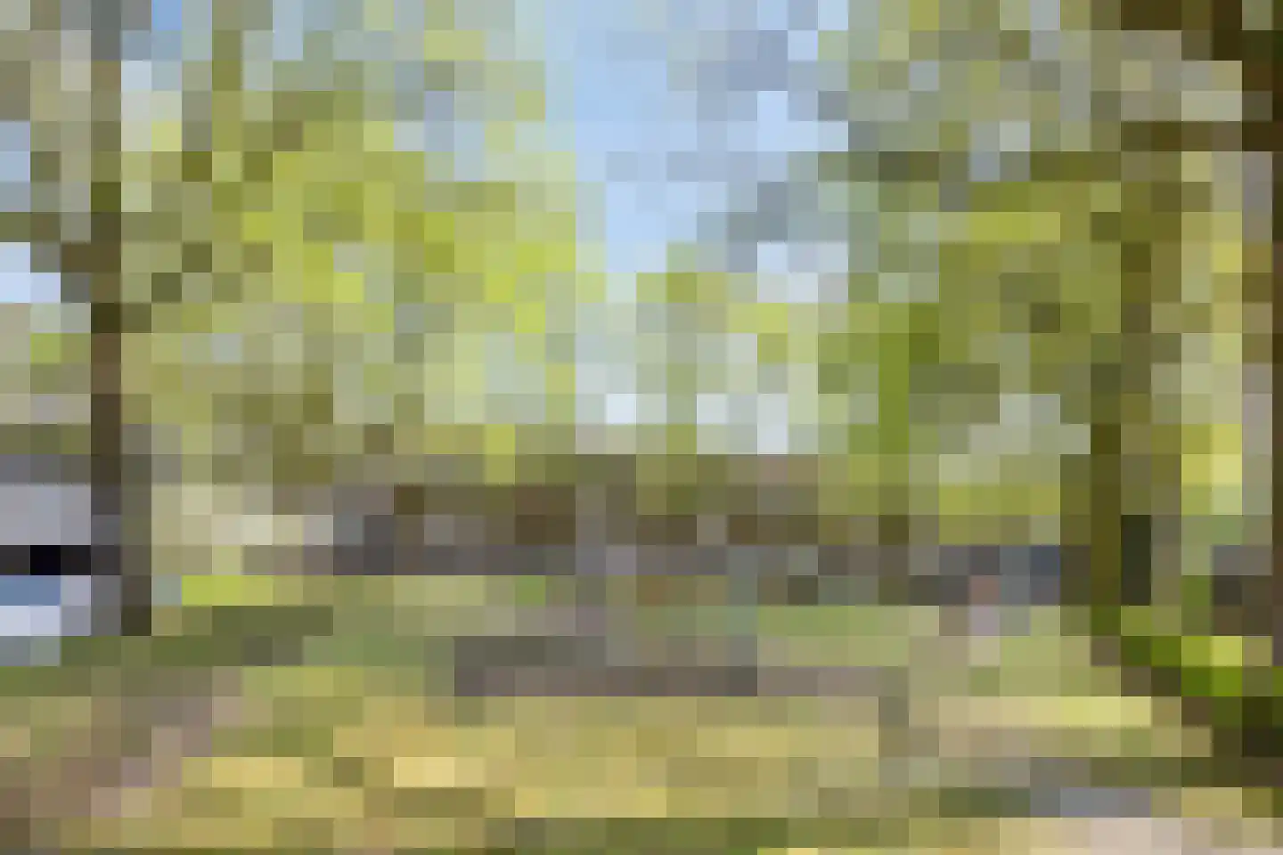 Wethouder van Eschstraat 99 Oss thumbnail 32