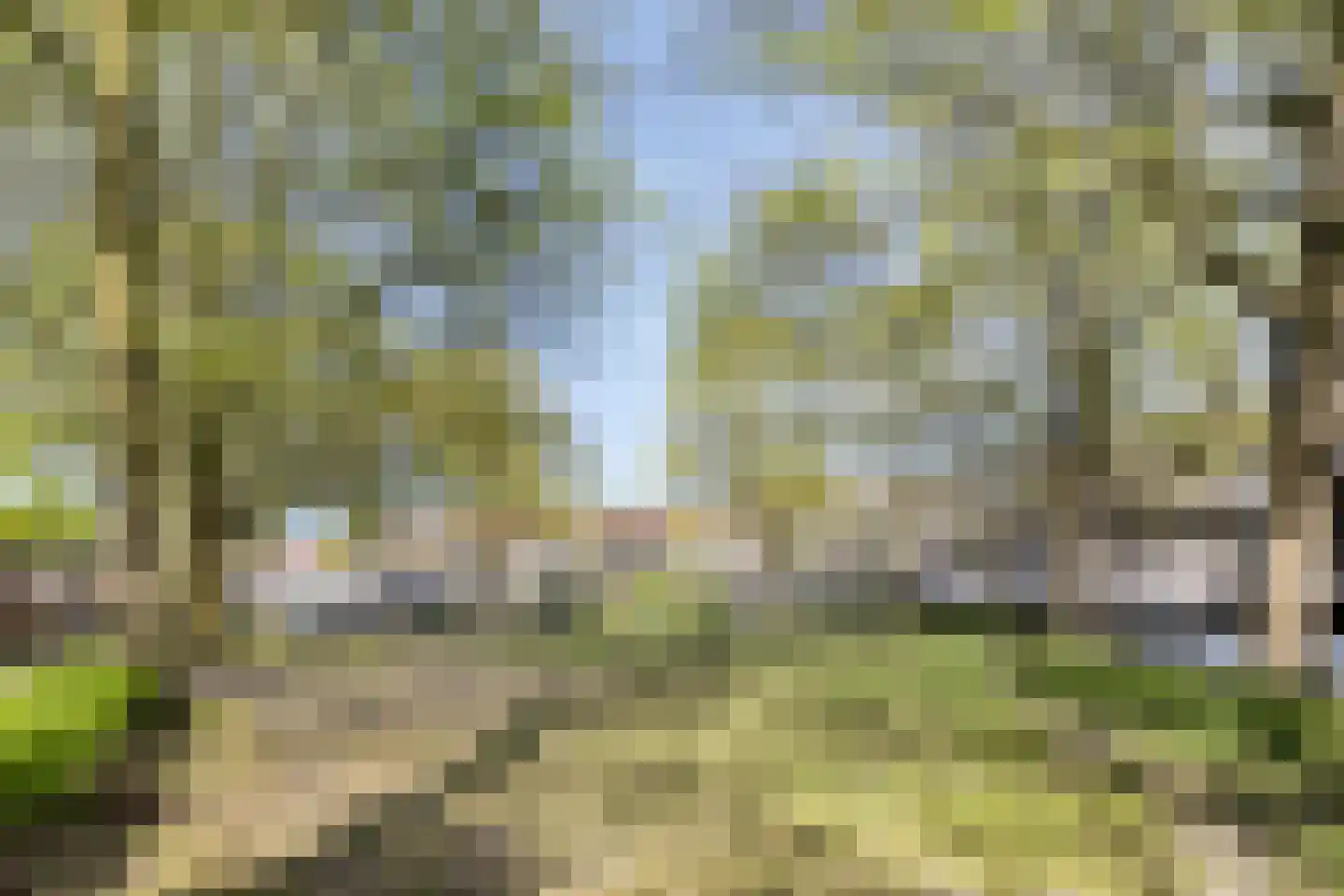 Wethouder van Eschstraat 99 Oss thumbnail 33