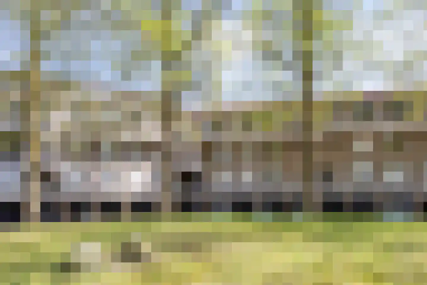 Wethouder van Eschstraat 99 Oss thumbnail 34