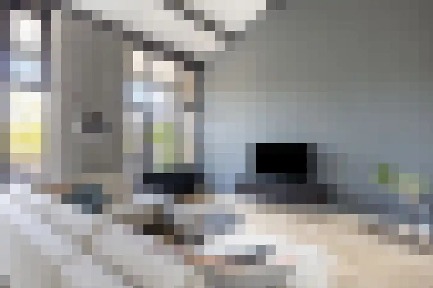 Wethouder van Eschstraat 99 Oss thumbnail 4