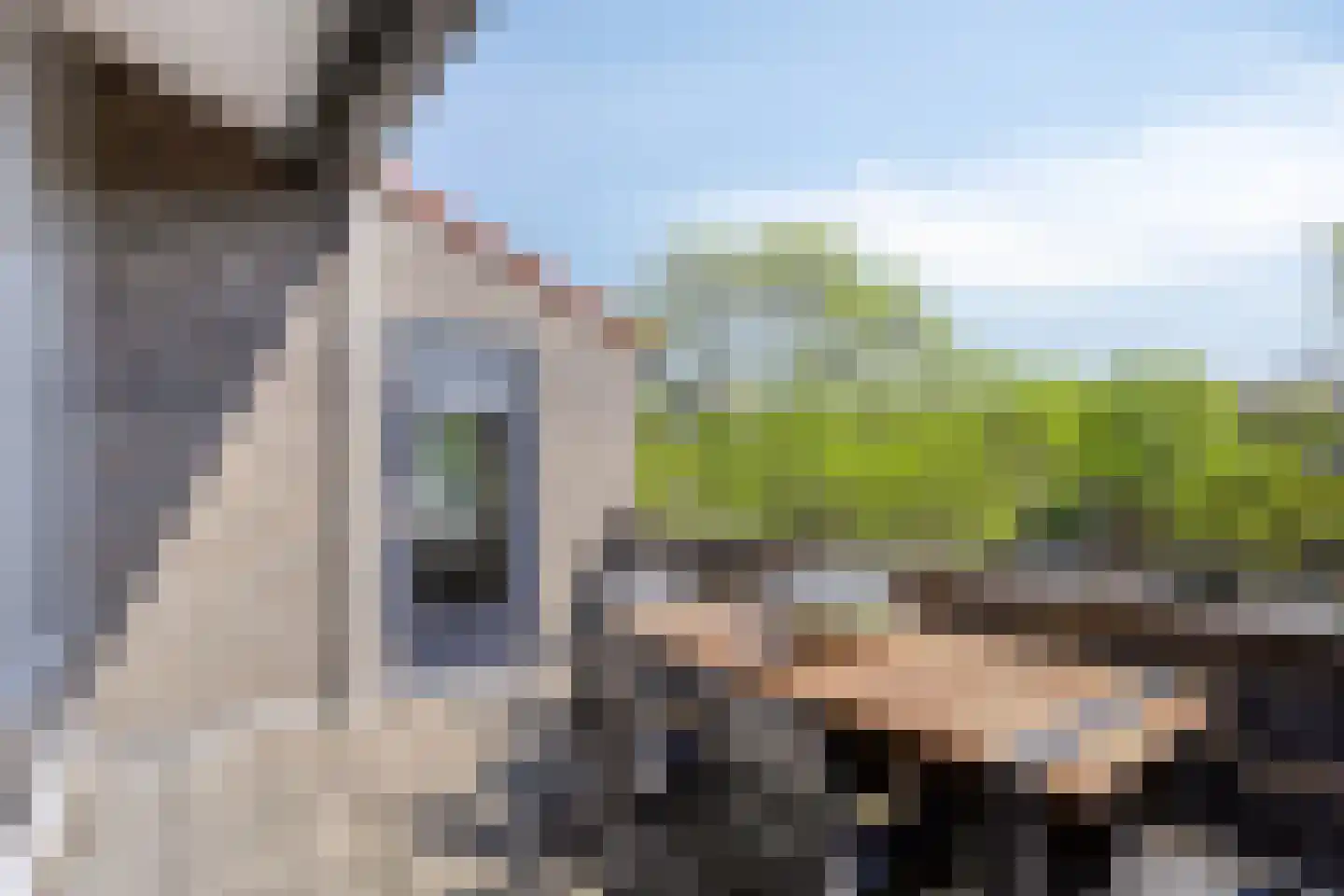 Wethouder van Eschstraat 99 Oss thumbnail 5