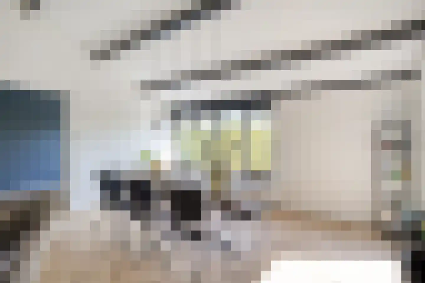 Wethouder van Eschstraat 99 Oss thumbnail 8