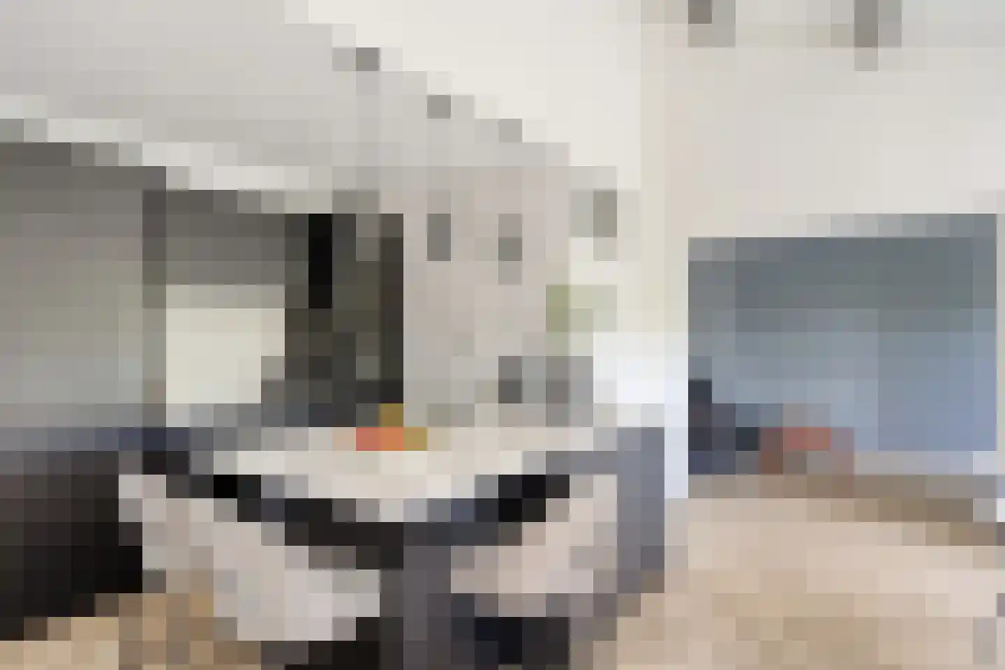 Wethouder van Eschstraat 99 Oss thumbnail 9