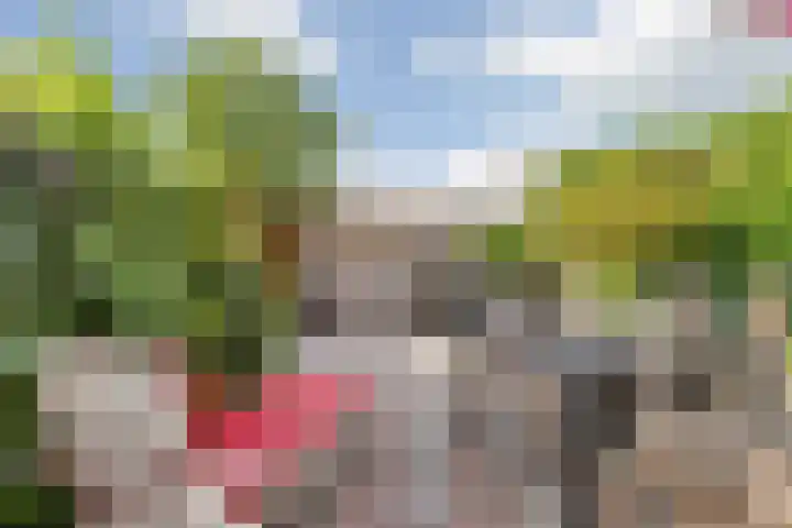 Wethouder van Haperenstraat 37 Breda thumbnail 49