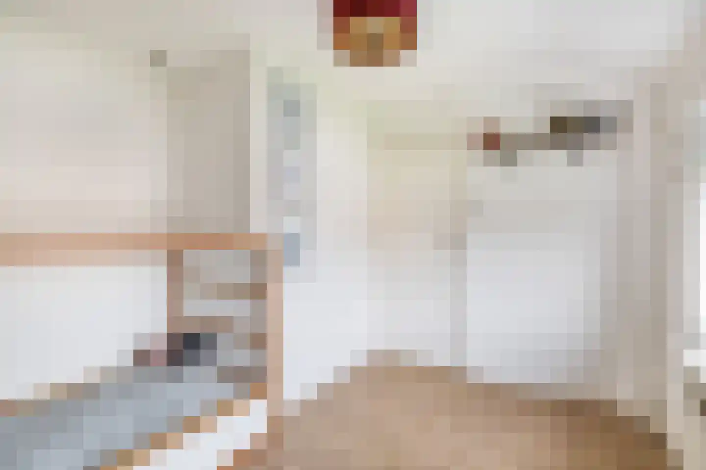Wethouder van Heldenstraat 57 Rozenburg thumbnail 33