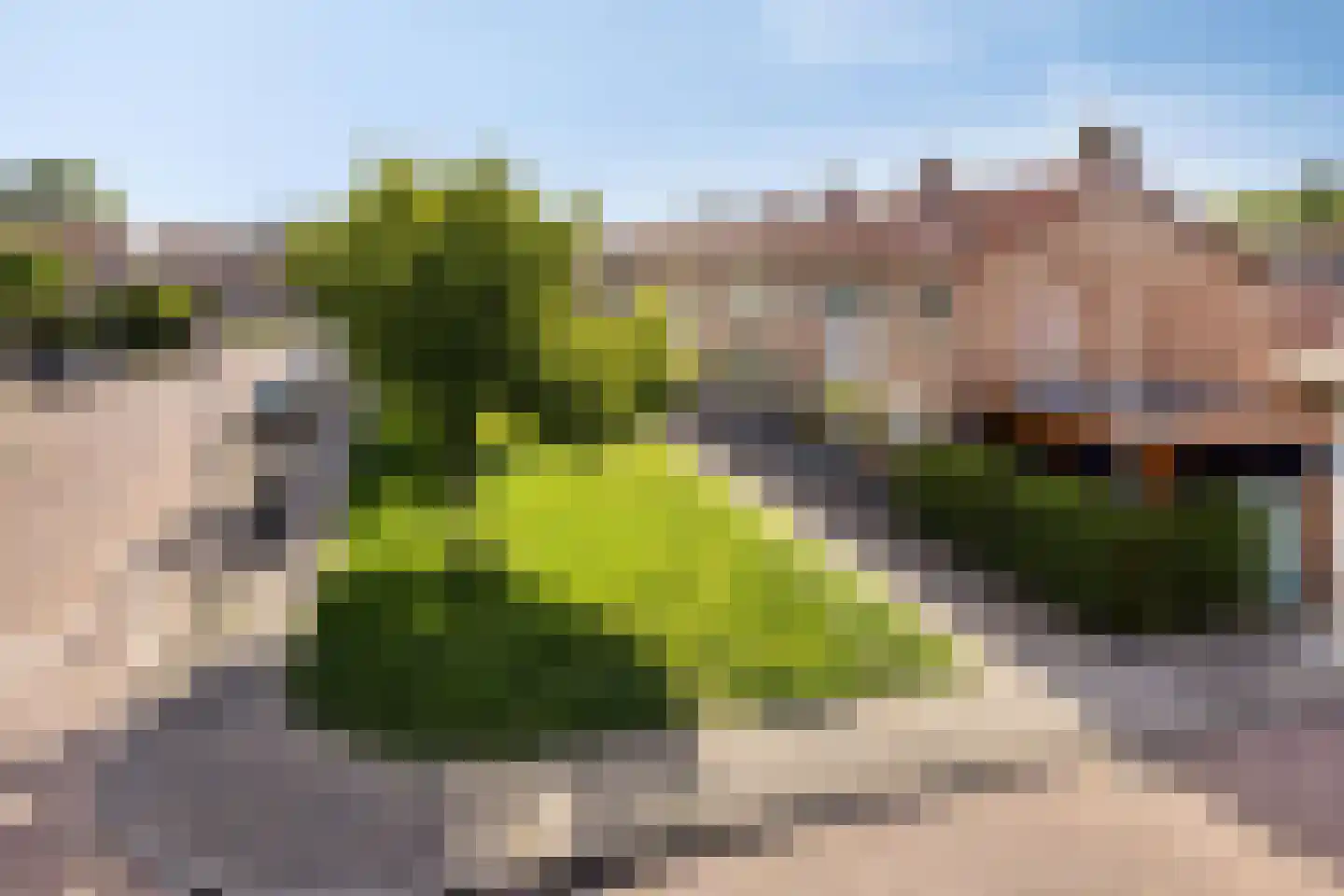 Wethouder van Heldenstraat 61 Rozenburg thumbnail 26