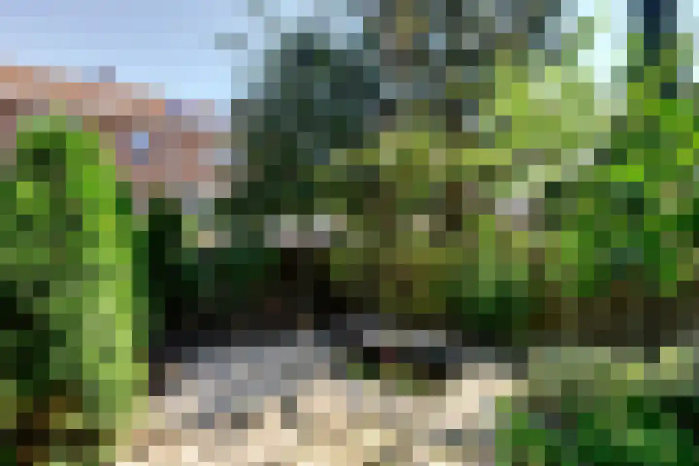 Wethouder van Heldenstraat 7 Rozenburg thumbnail 10