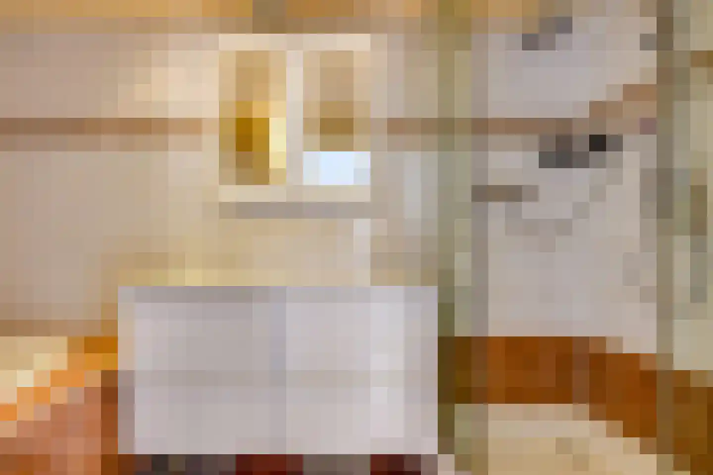 Wethouder van Heldenstraat 7 Rozenburg thumbnail 35