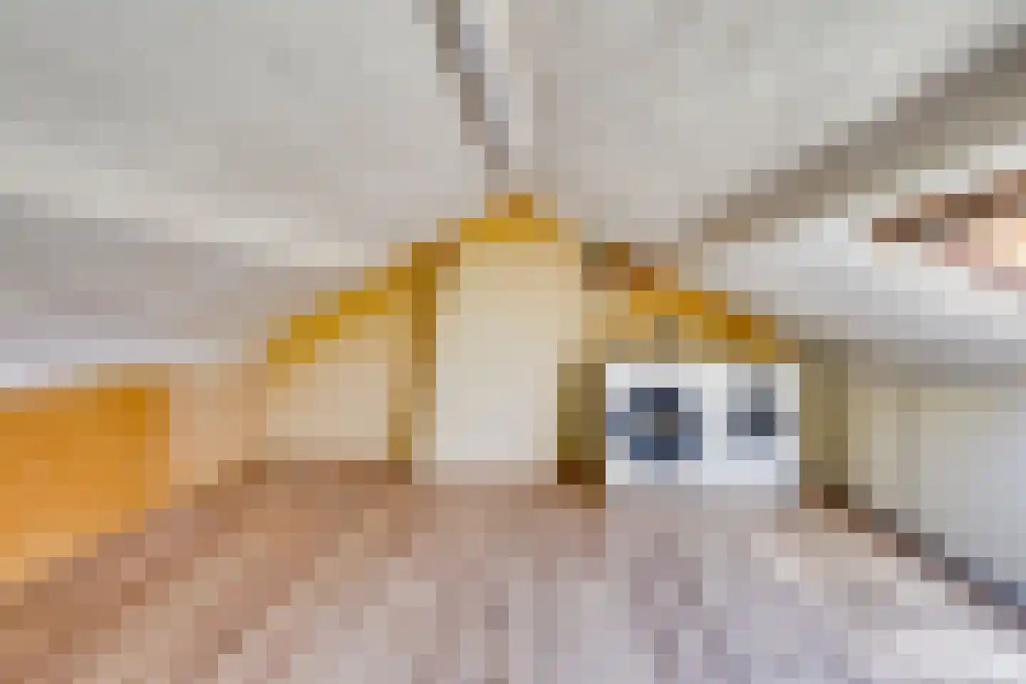 Wethouder van Heldenstraat 7 Rozenburg thumbnail 39