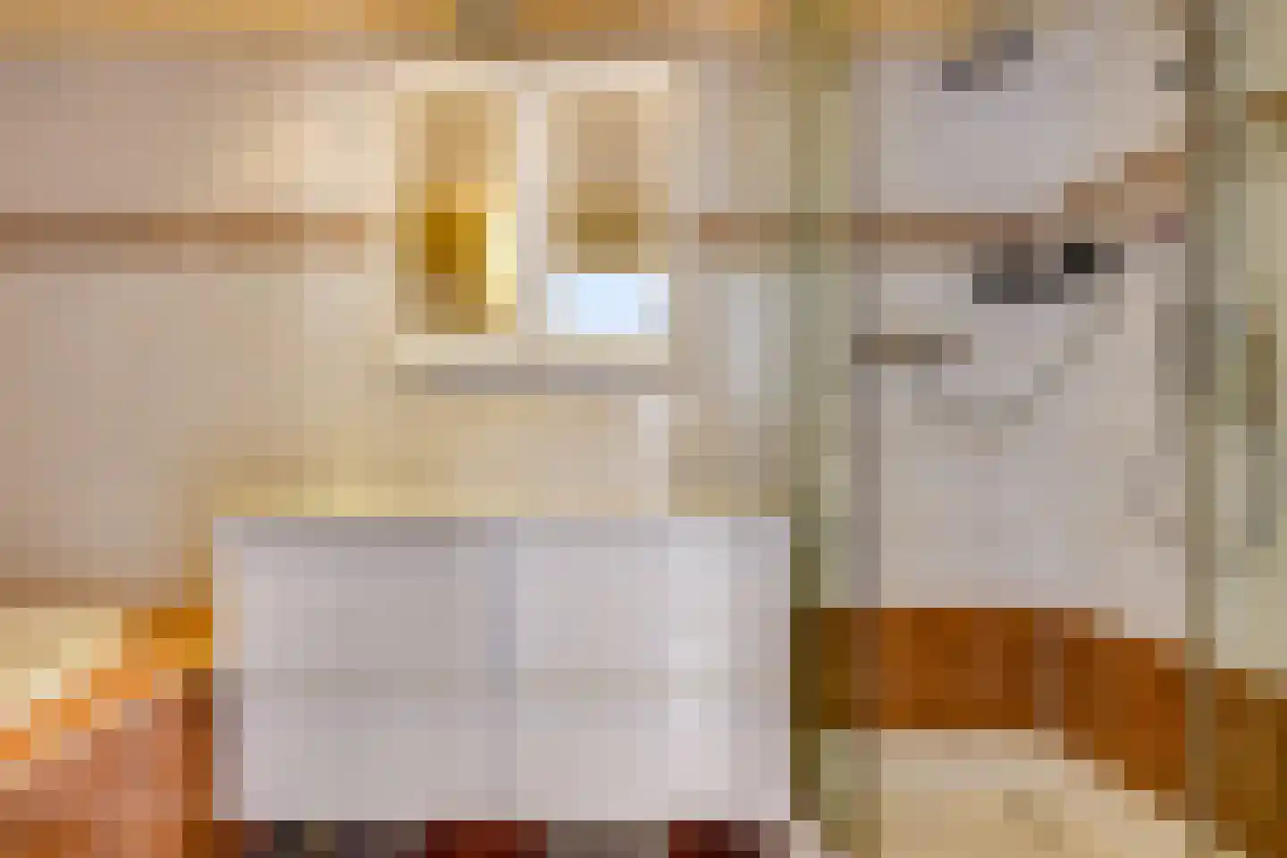 Wethouder van Heldenstraat 7 Rozenburg thumbnail 7