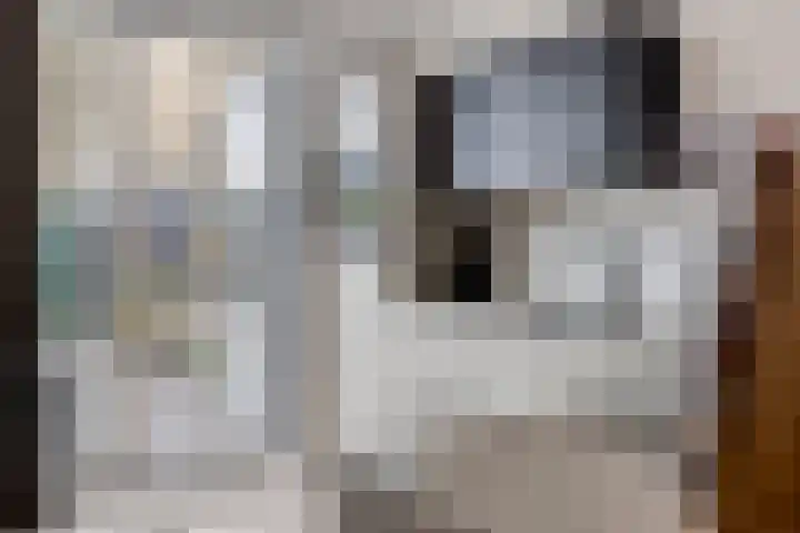 Wethouder van Klinkenstraat 3 Nieuwerkerk thumbnail 15