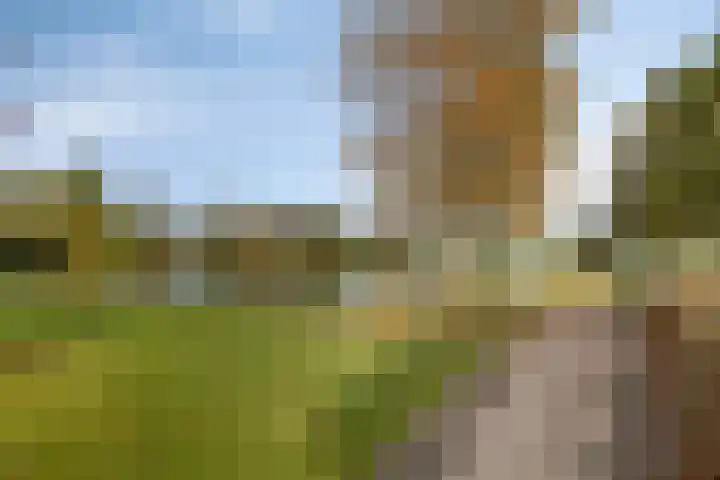 Wethouder van Klinkenstraat 3 Nieuwerkerk thumbnail 36