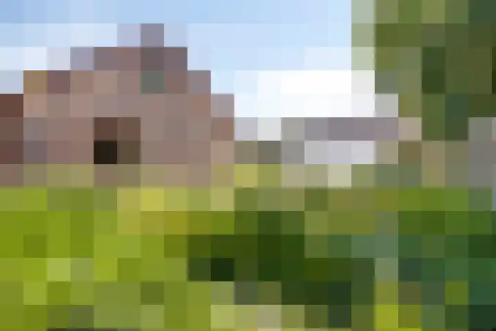 Wethouder van Klinkenstraat 4 Nieuwerkerk thumbnail 24