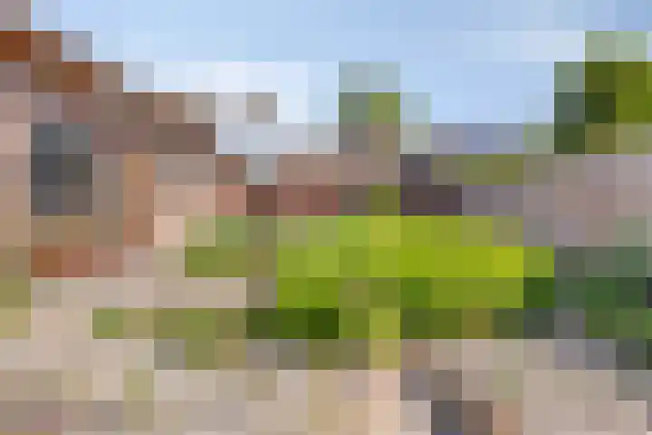 Wethouder van Klinkenstraat 4 Nieuwerkerk thumbnail 29