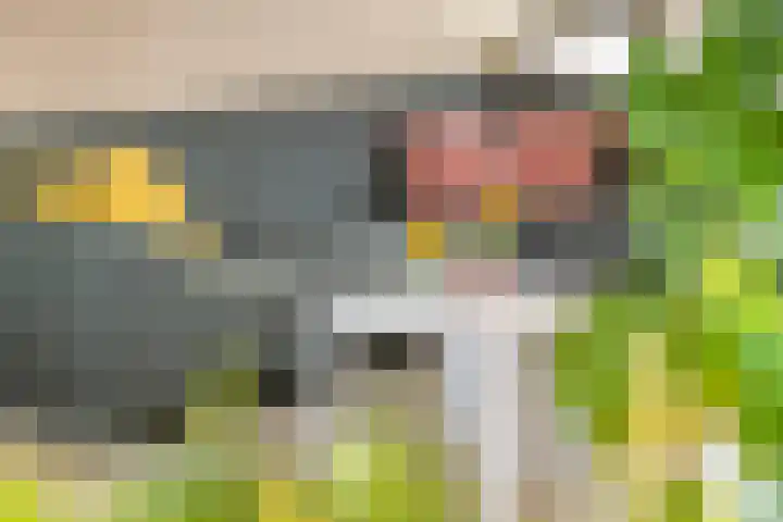 Wethouder van Ooijenweg 10 Wadenoijen thumbnail 17