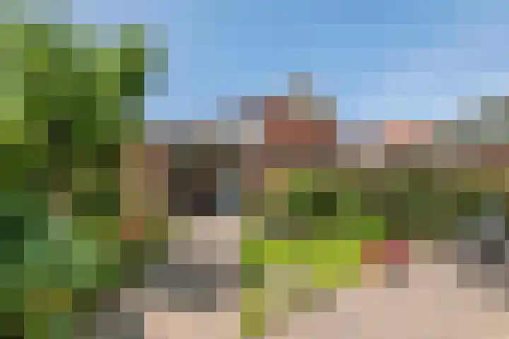 Wethouder van Ooijenweg 10 Wadenoijen thumbnail 31