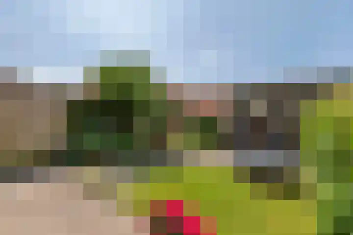 Wethouder van Ooijenweg 10 Wadenoijen thumbnail 32