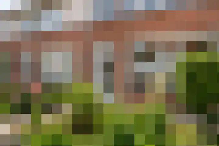 Wethouder van Ooijenweg 10 Wadenoijen thumbnail 37