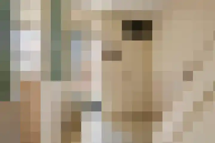 Wethouder van Ooijenweg 10 Wadenoijen thumbnail 4