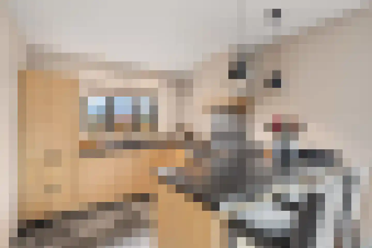 Wethouder van Rooijenweg 19 Houten thumbnail 16