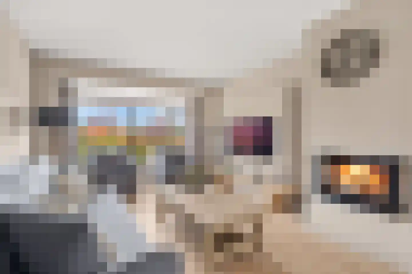 Wethouder van Rooijenweg 19 Houten thumbnail 4