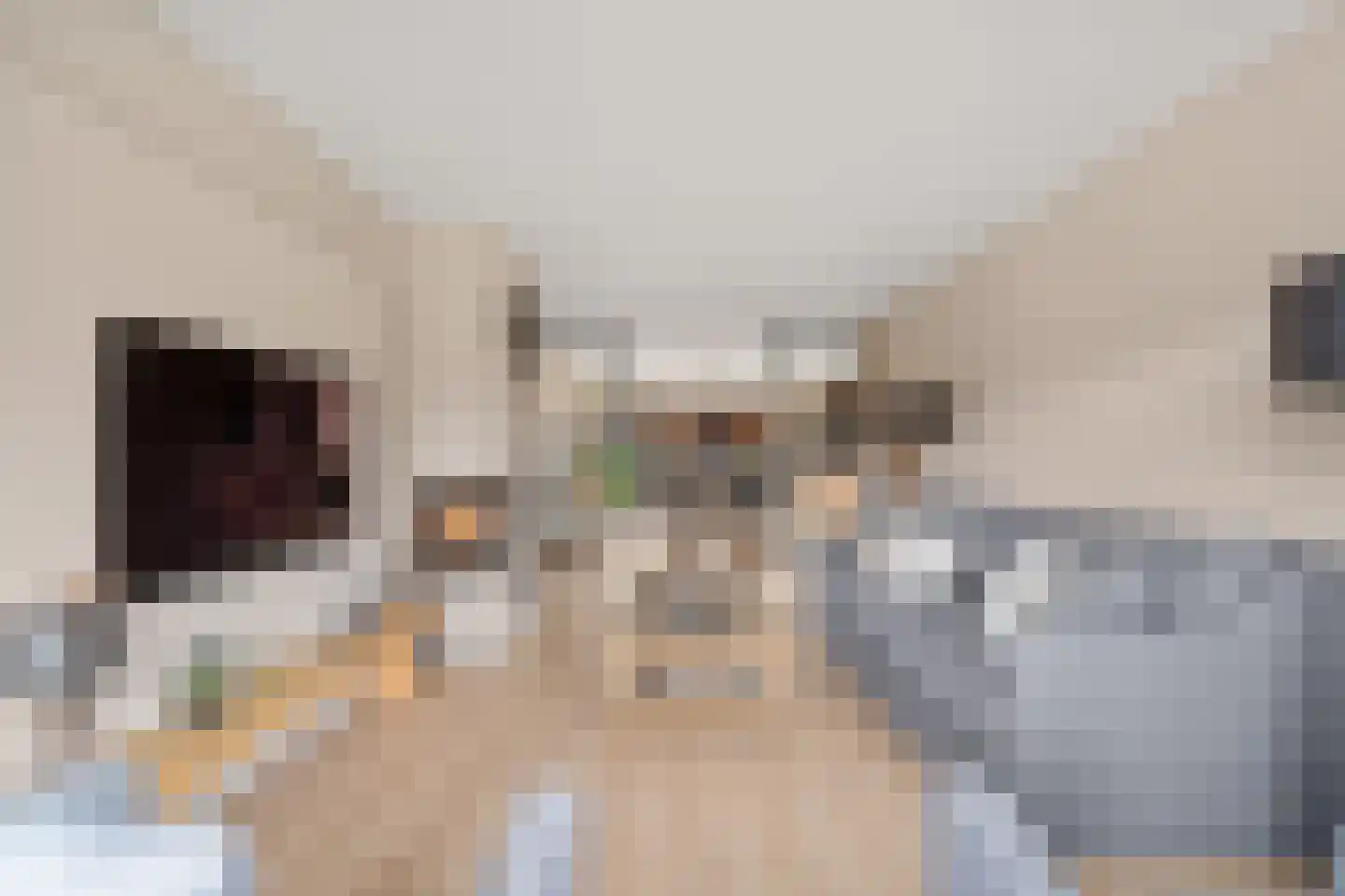 Wethouder van Rooijenweg 19 Houten thumbnail 6