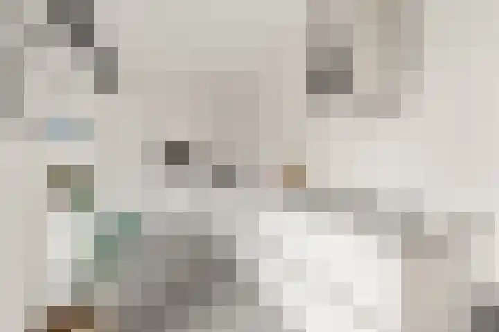 Wethouder van Rooijenweg 4 Houten thumbnail 13