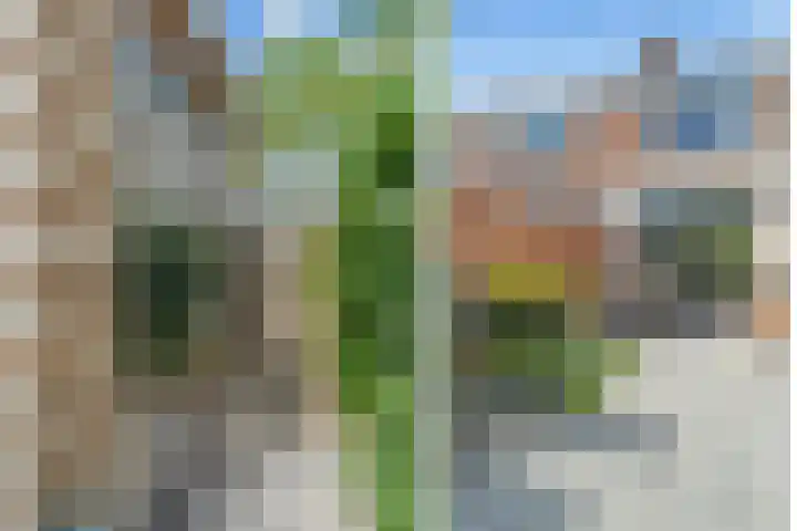 Wethouder van Rooijenweg 4 Houten thumbnail 21