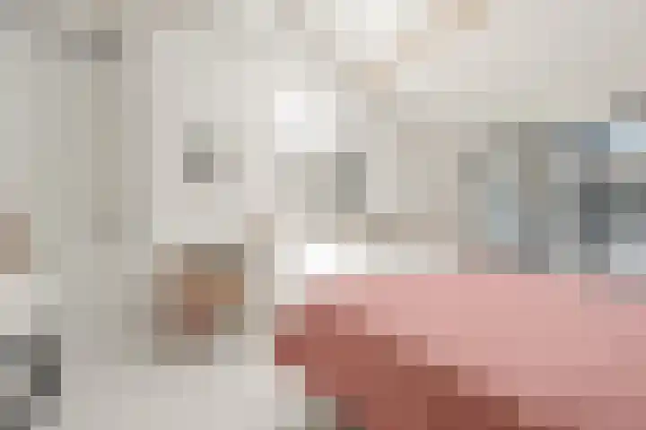 Wethouder van Rooijenweg 4 Houten thumbnail 23