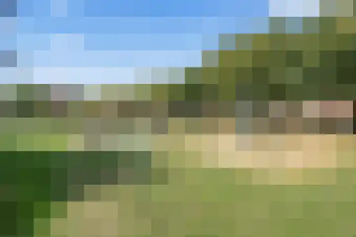 Wethouder van Rooijenweg 4 Houten thumbnail 41