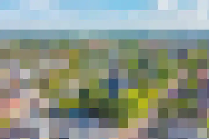 Wethouder van Rooijenweg 4 Houten thumbnail 42