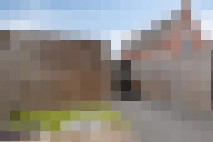 Wethouder van Rooijlaan 11 Helmond thumbnail 37
