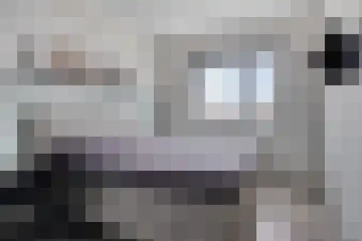Wethouder van Rooijlaan 11 Helmond thumbnail 5