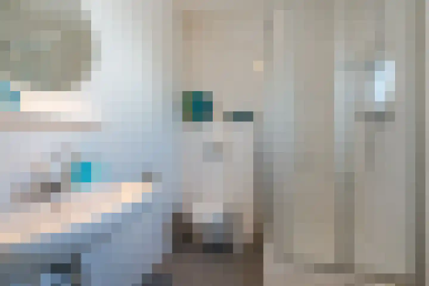 Wethouder van Santestraat 13 Geldrop thumbnail 24