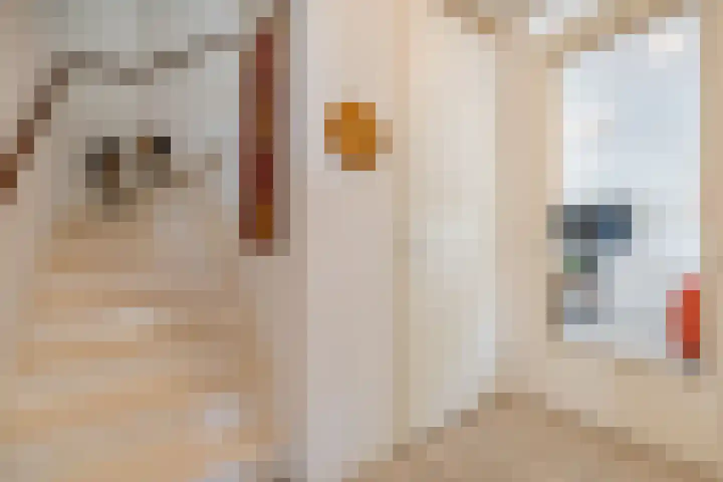 Wethouder van Santestraat 13 Geldrop thumbnail 4