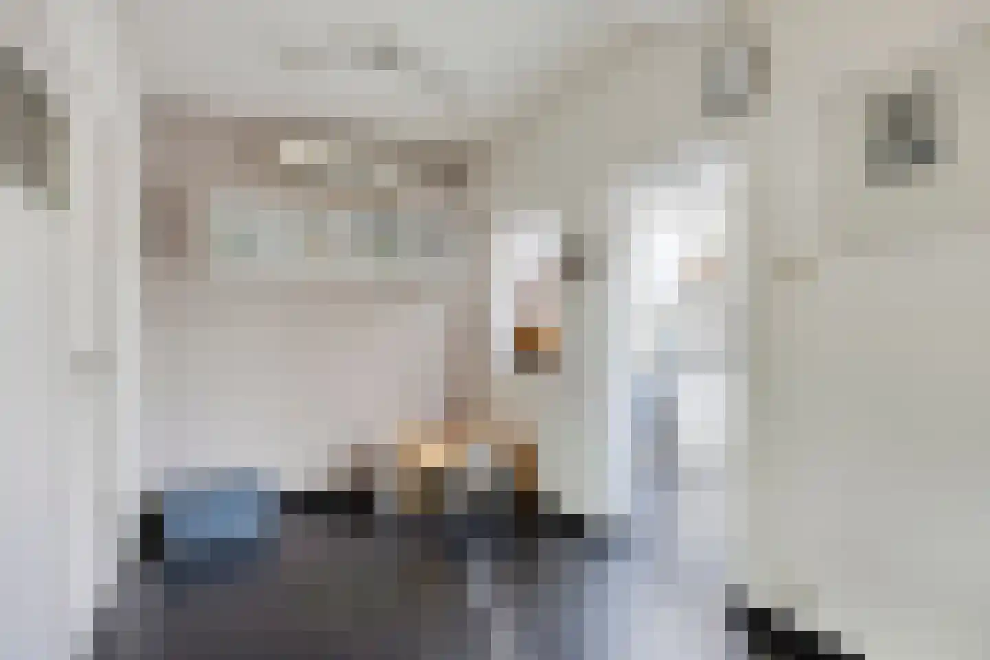 Wethouder Vekemansstraat 18 Goirle thumbnail 11