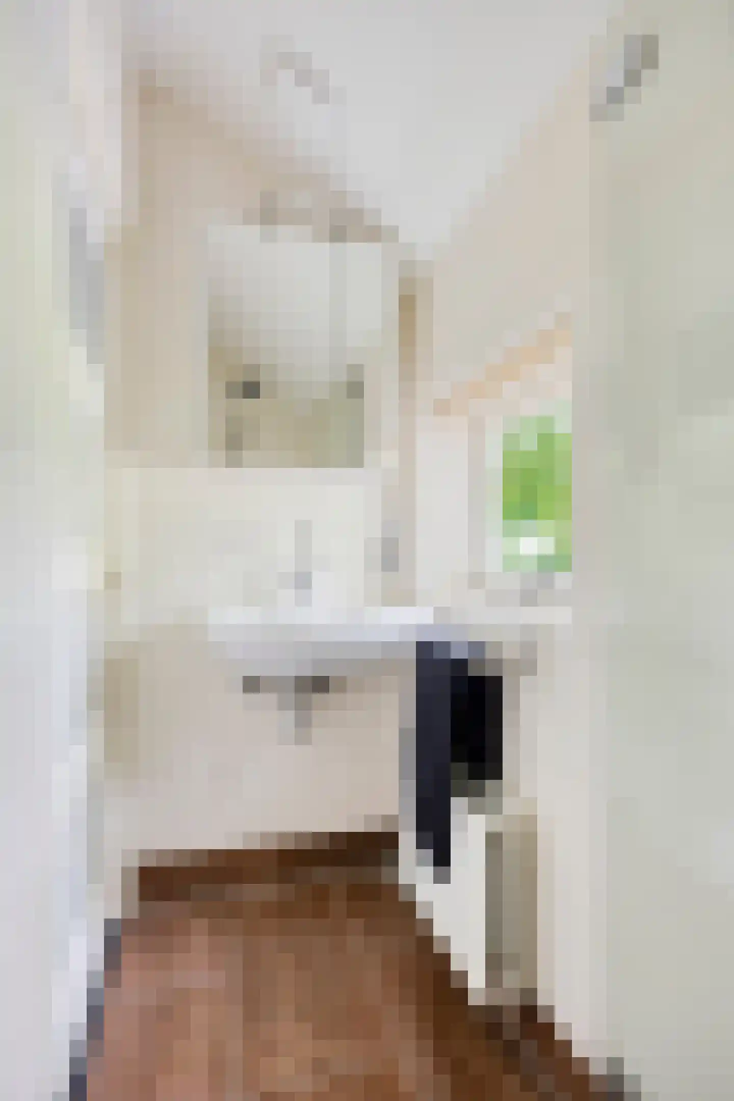 Wethouder Vekemansstraat 18 Goirle thumbnail 23