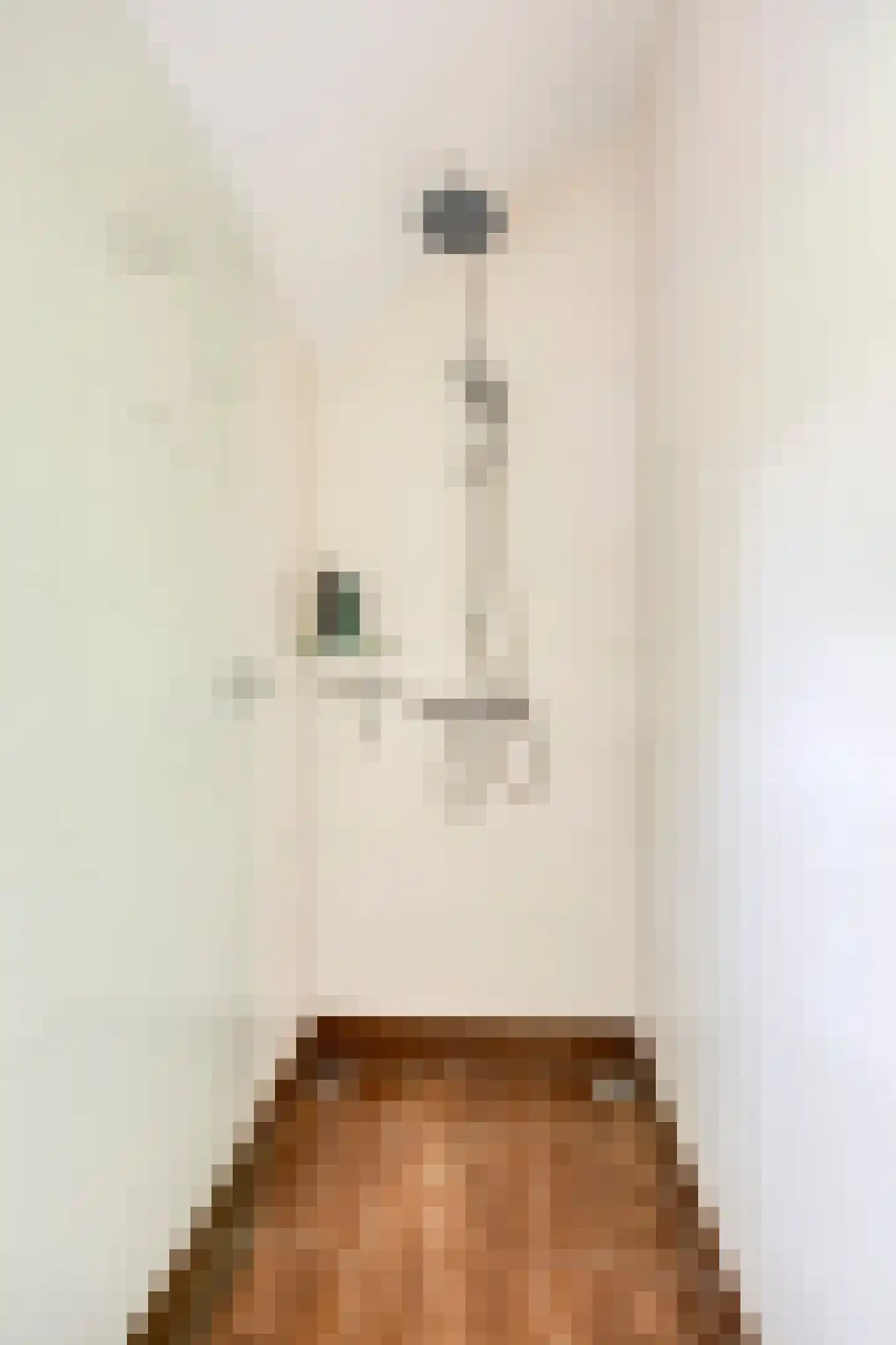 Wethouder Vekemansstraat 18 Goirle thumbnail 24