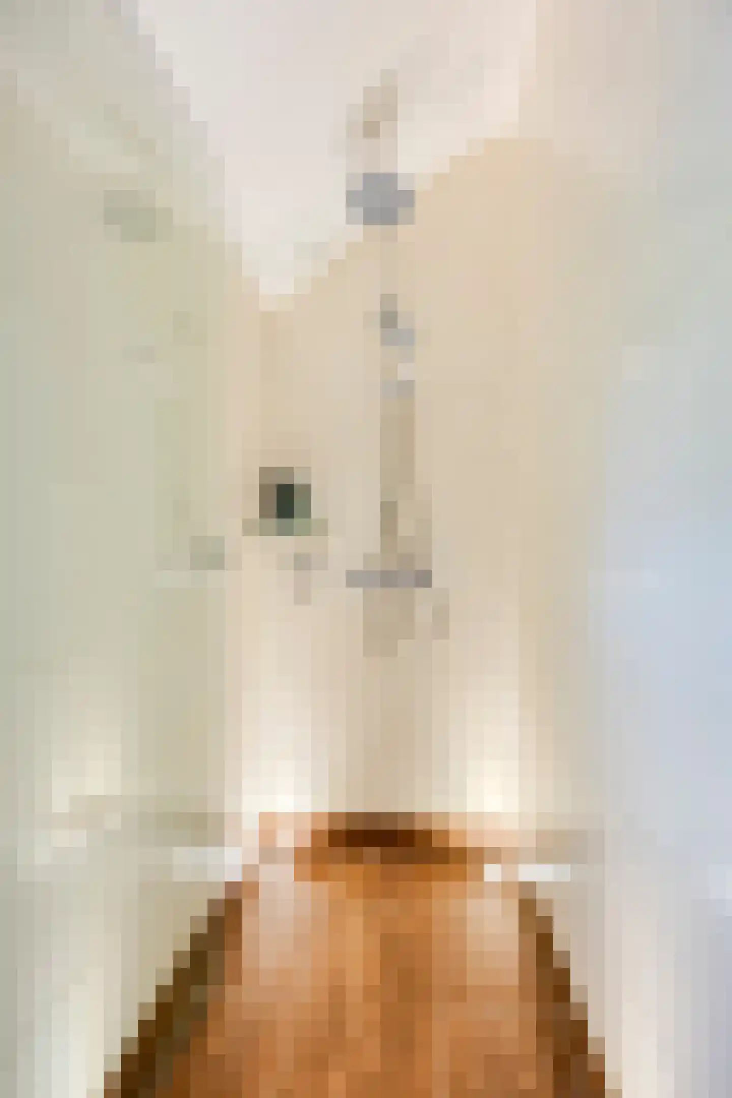 Wethouder Vekemansstraat 18 Goirle thumbnail 25