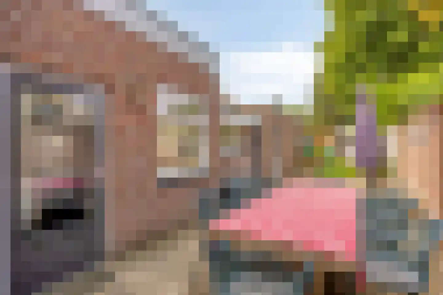 Wethouder Vekemansstraat 18 Goirle thumbnail 27