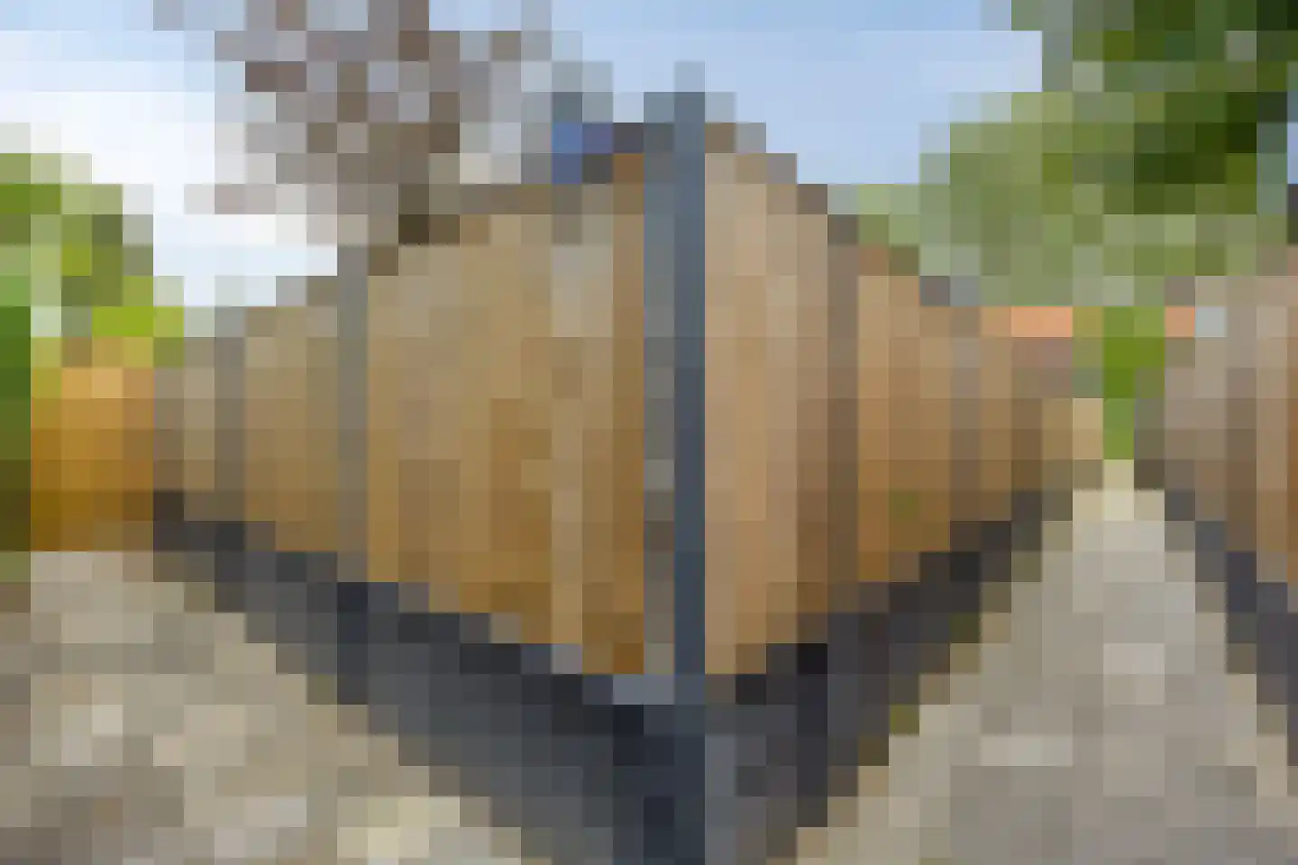 Wethouder Vekemansstraat 18 Goirle thumbnail 33