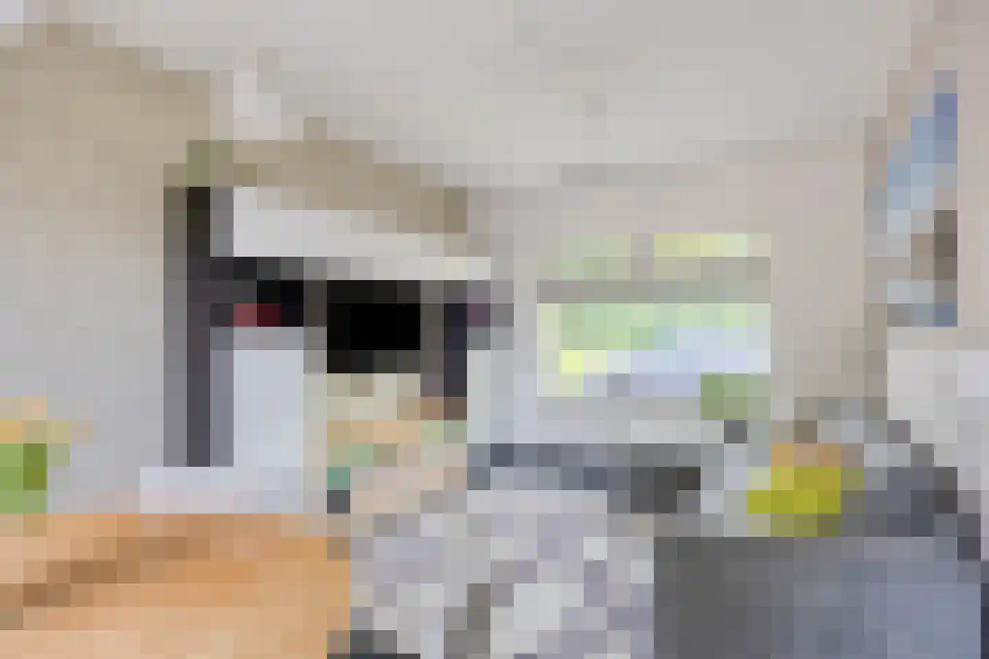 Wethouder Vekemansstraat 18 Goirle thumbnail 8