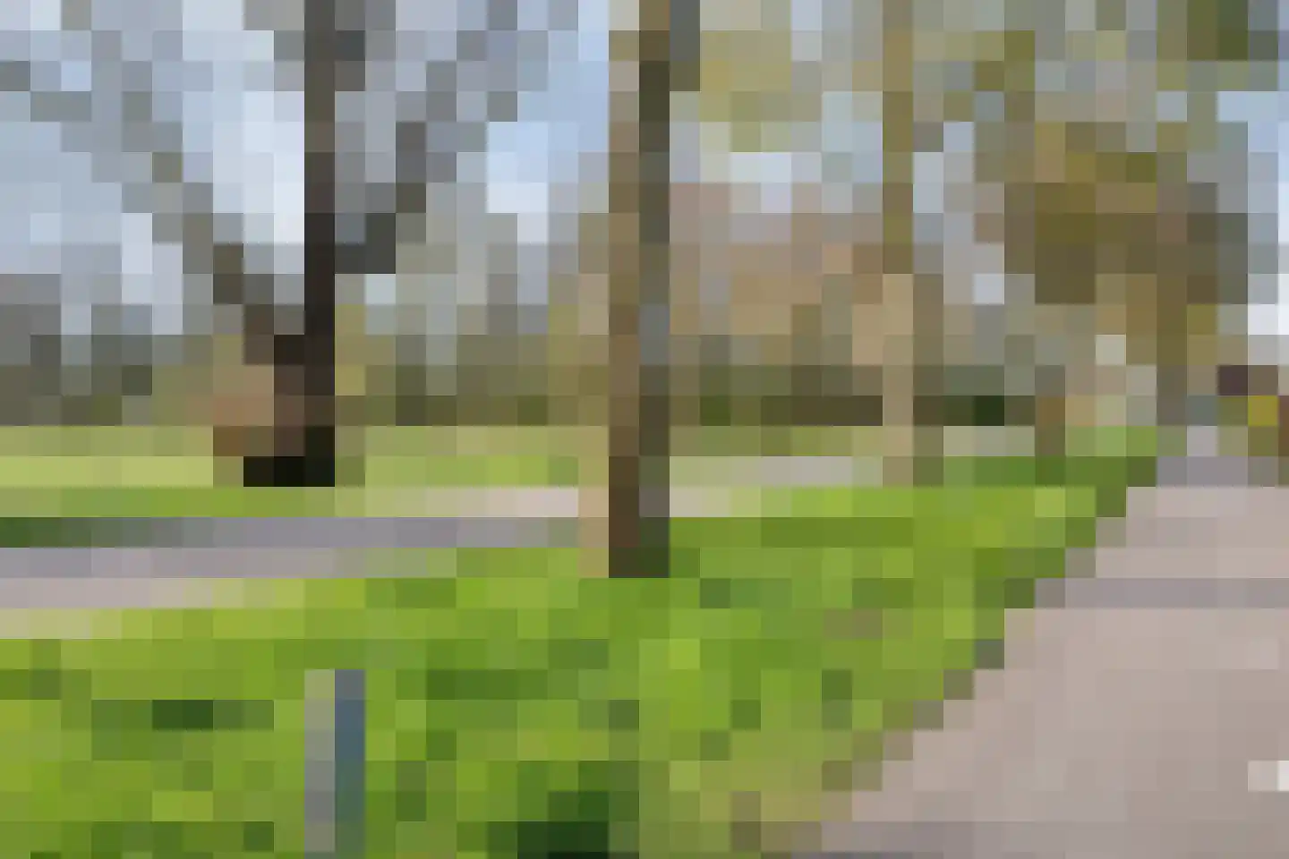 Wethouder Verrietstraat 19 Ooij thumbnail 33