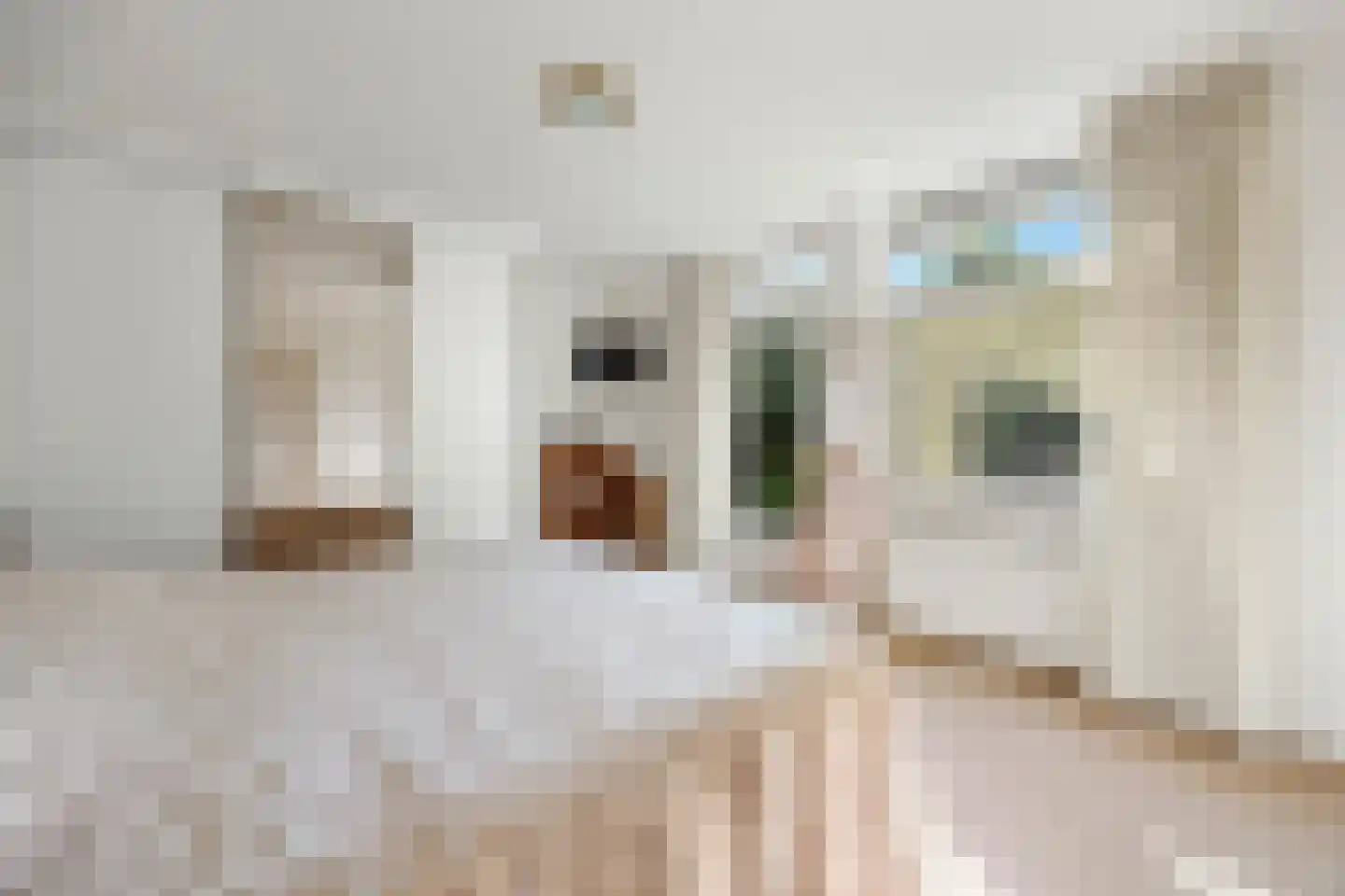 Wethouder Verrietstraat 24 Ooij thumbnail 18